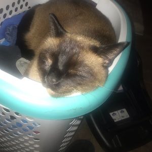 Meet your Posher, Tabbatha